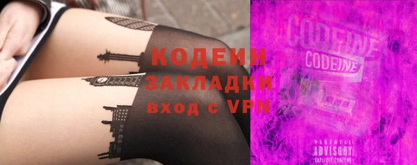 гидра Арсеньев
